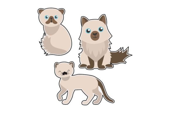Cat Sticker Funny: Graphics and Illustrations for Modern Branding