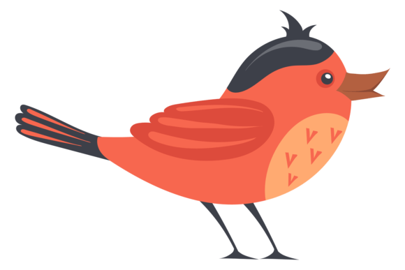 Red Bird Cute Character with Funny Feath Graphics and Illustrations